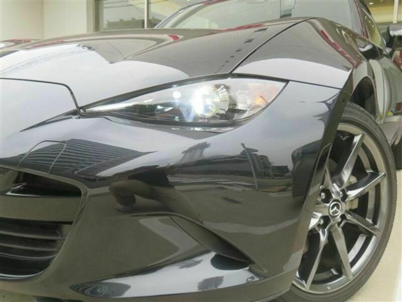 ROADSTER RF