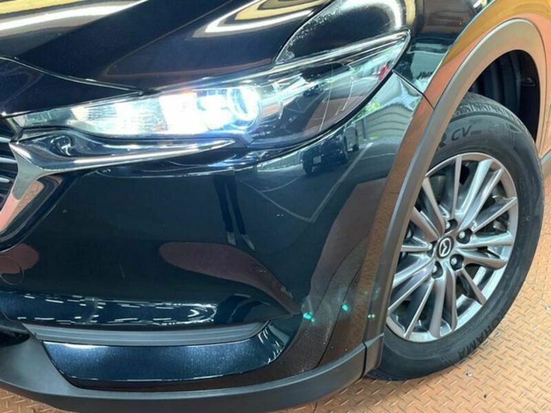 CX-8