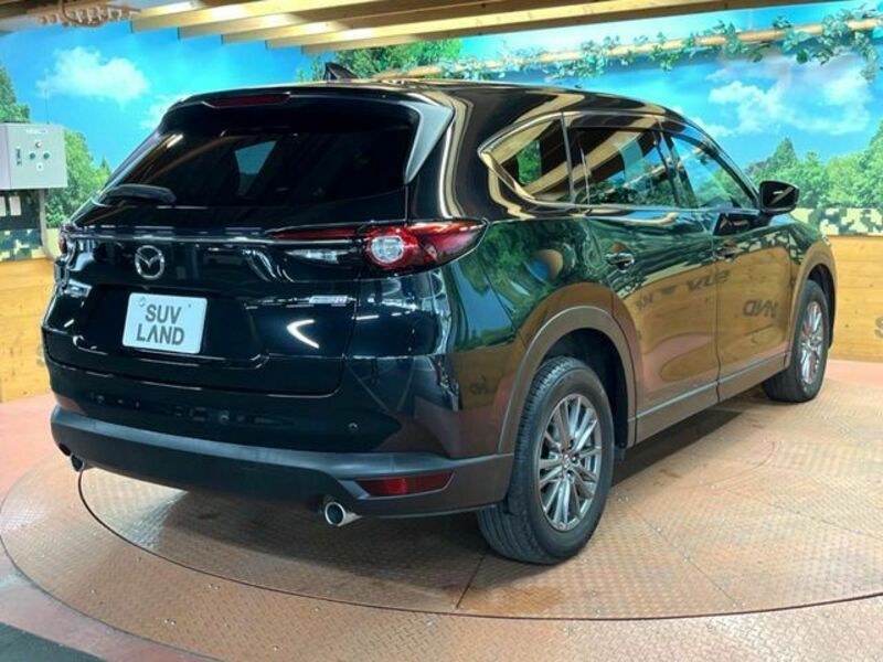 CX-8