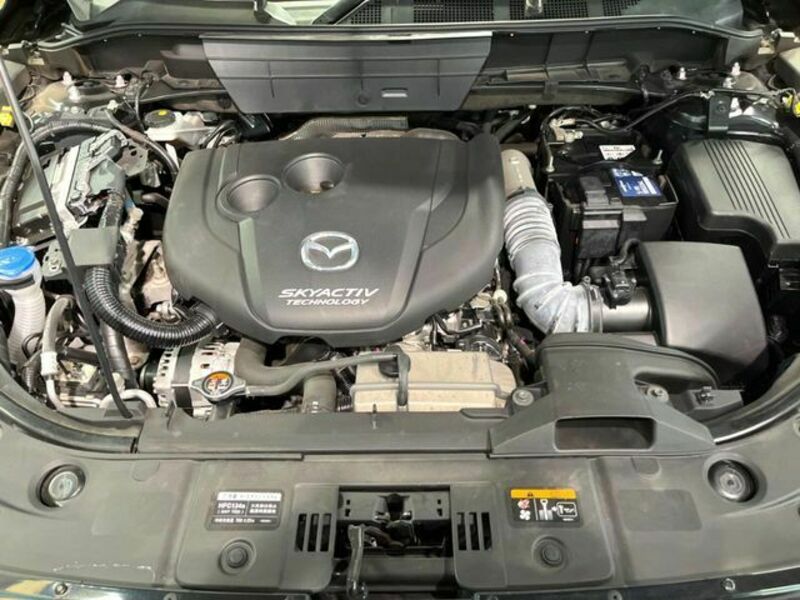 CX-8