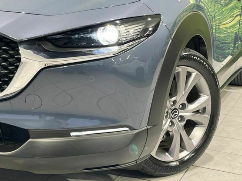 CX-30