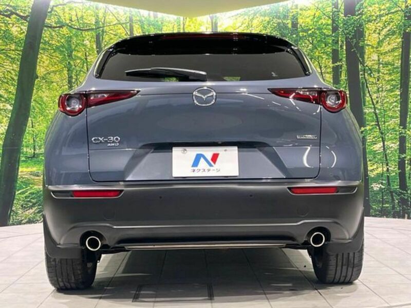 CX-30