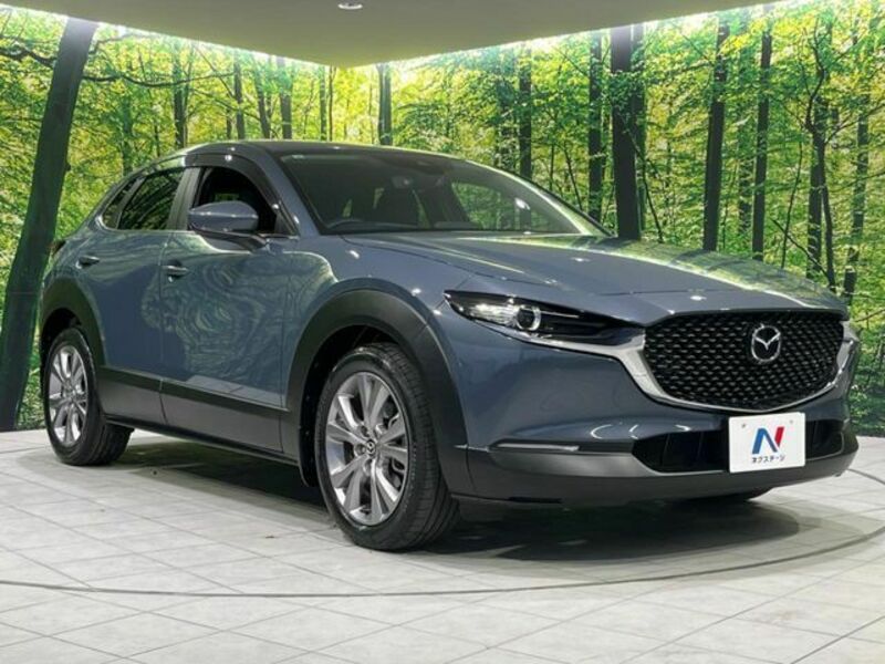 CX-30