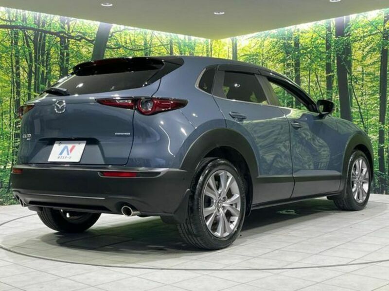 CX-30