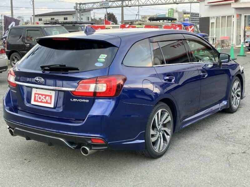 LEVORG