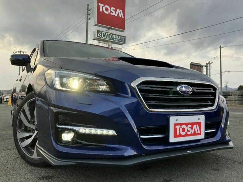 LEVORG