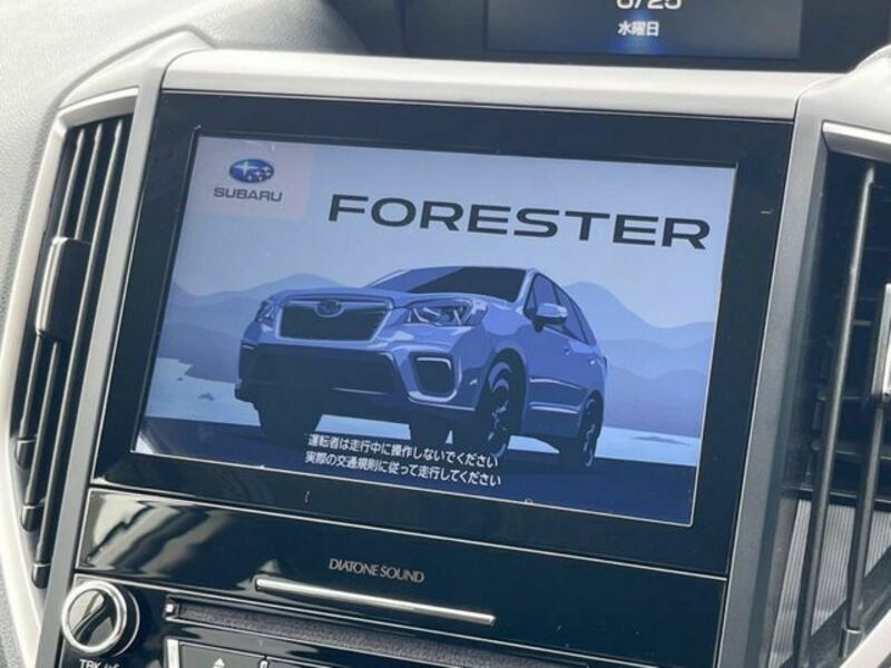 FORESTER