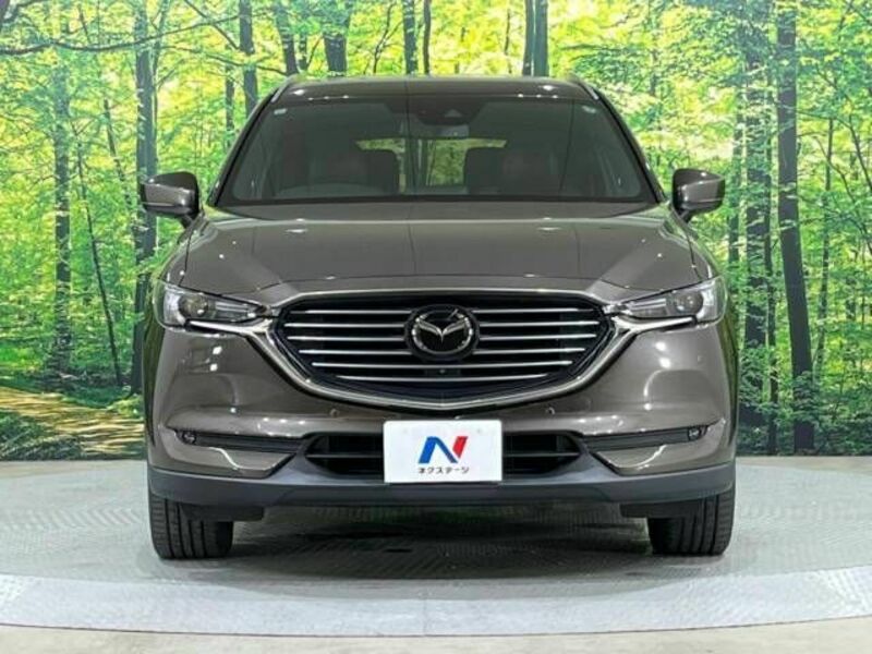 CX-8
