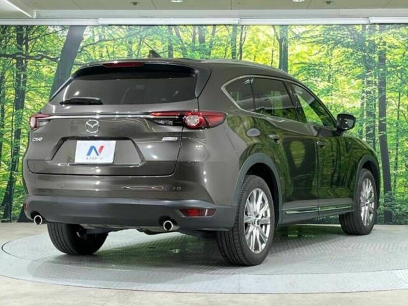CX-8