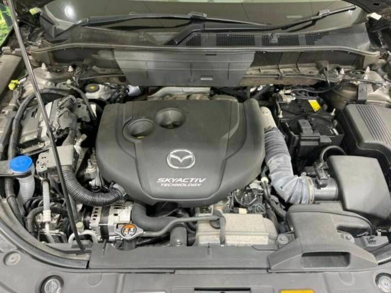 CX-8