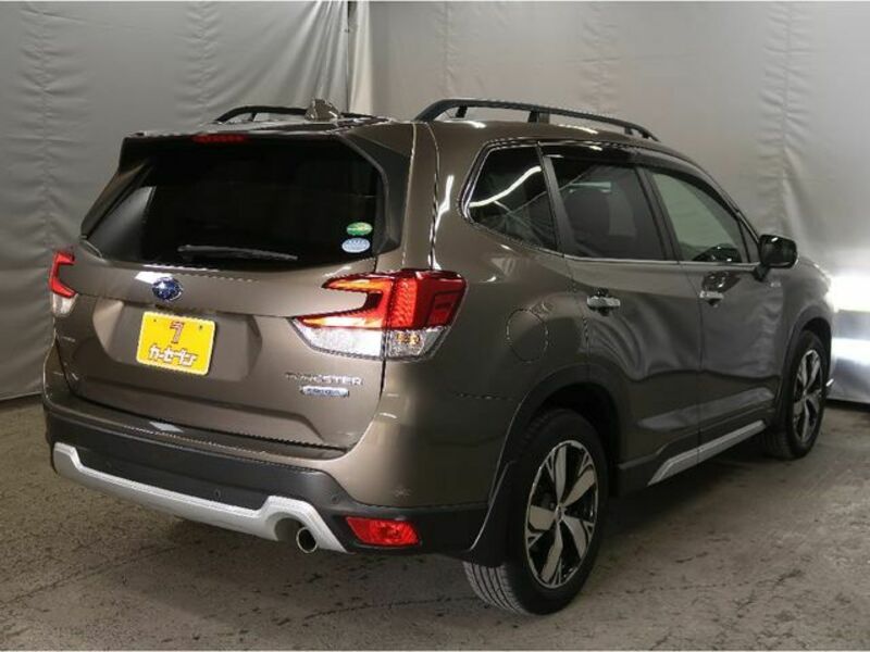 FORESTER