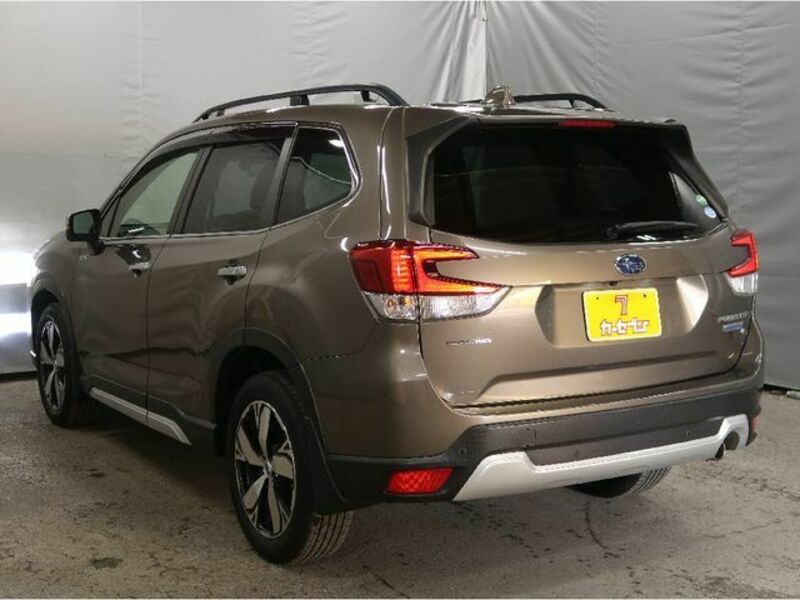 FORESTER