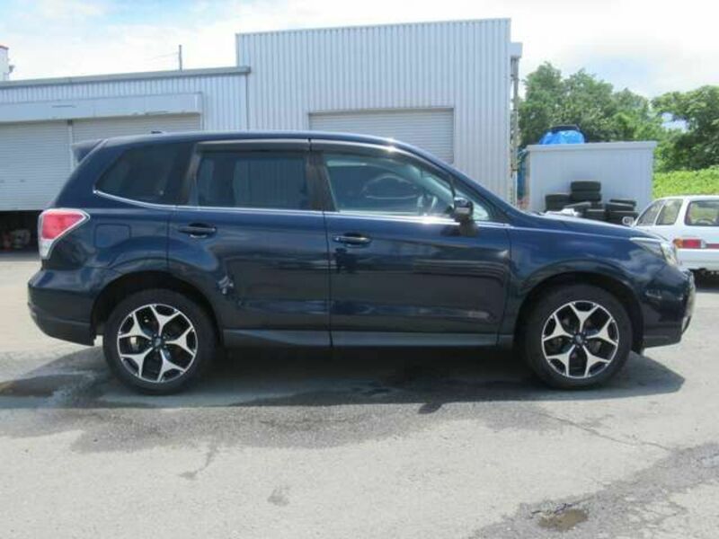 FORESTER