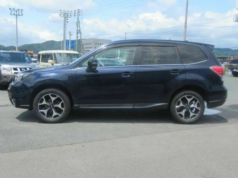 FORESTER