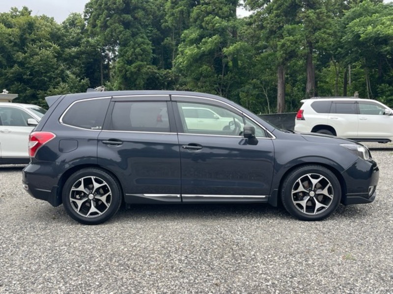 FORESTER