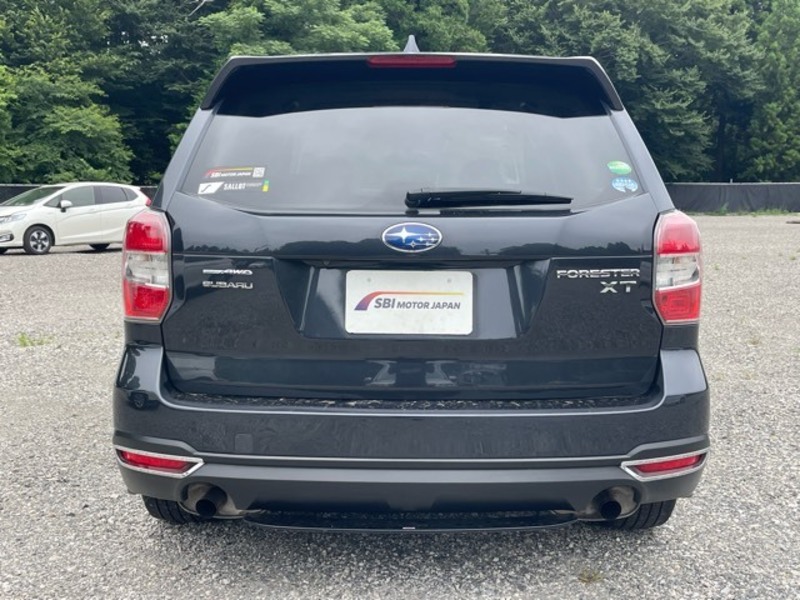 FORESTER