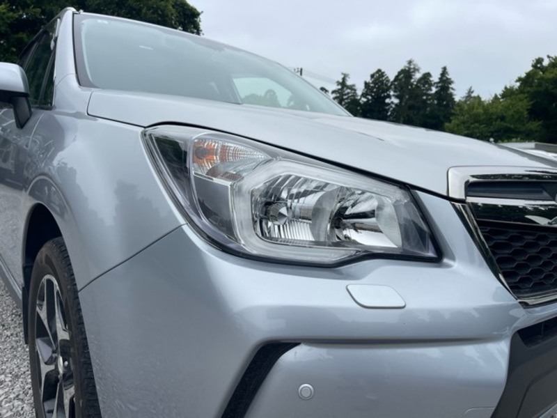 FORESTER