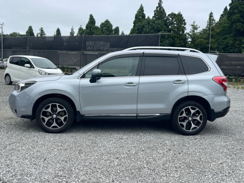 FORESTER