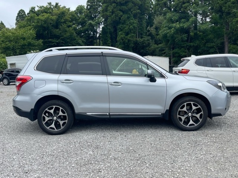 FORESTER