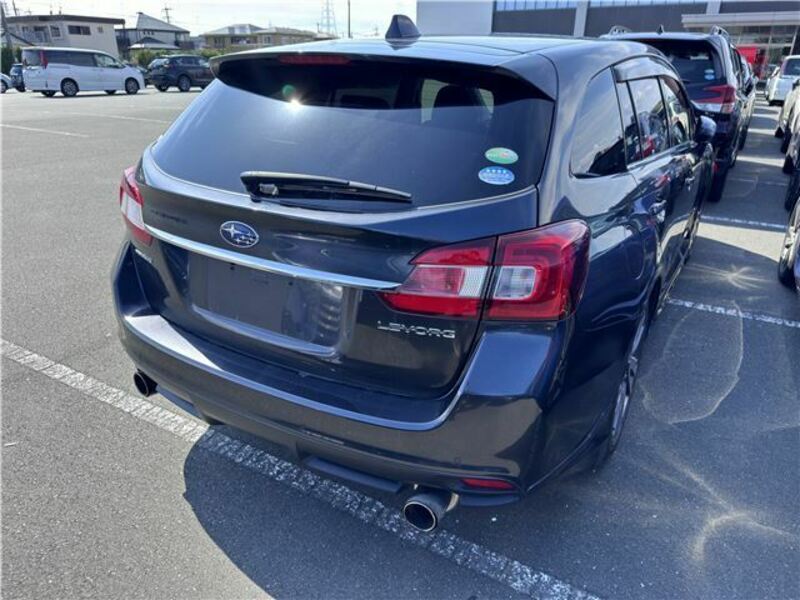LEVORG
