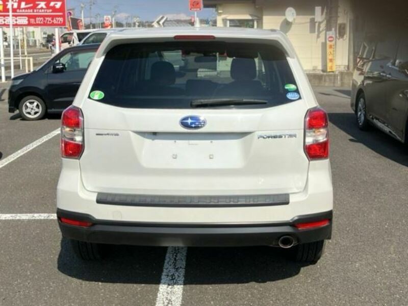 FORESTER