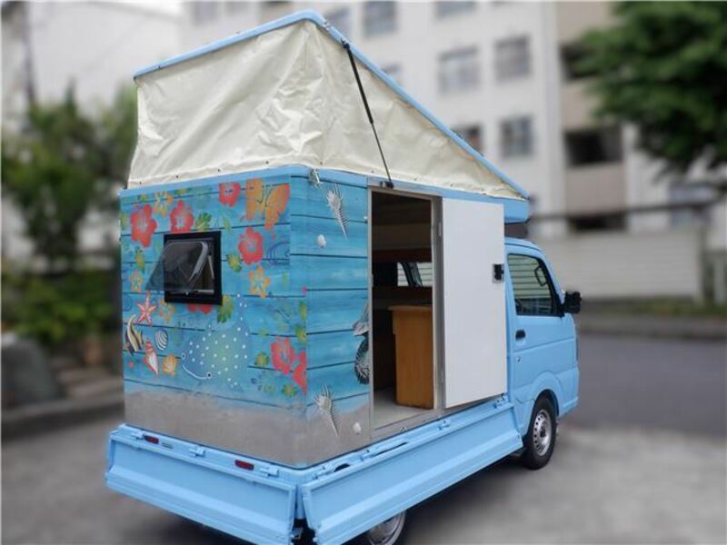 CARRY TRUCK