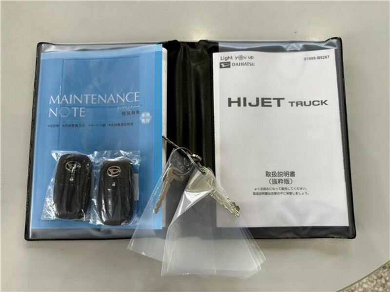 HIJET TRUCK