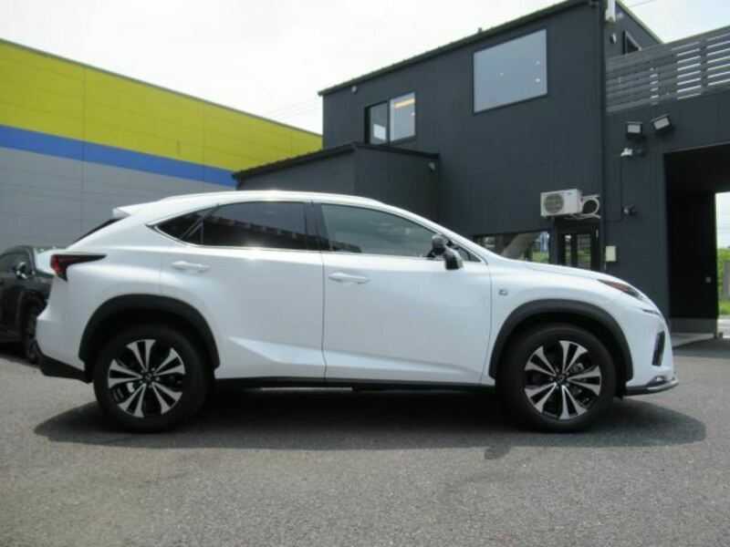 NX