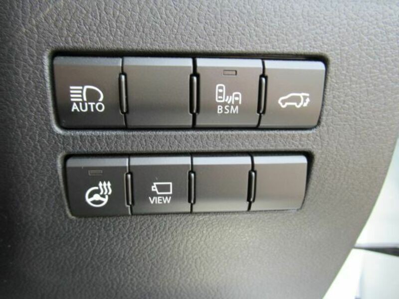 NX