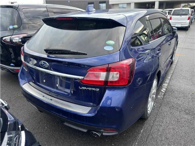 LEVORG
