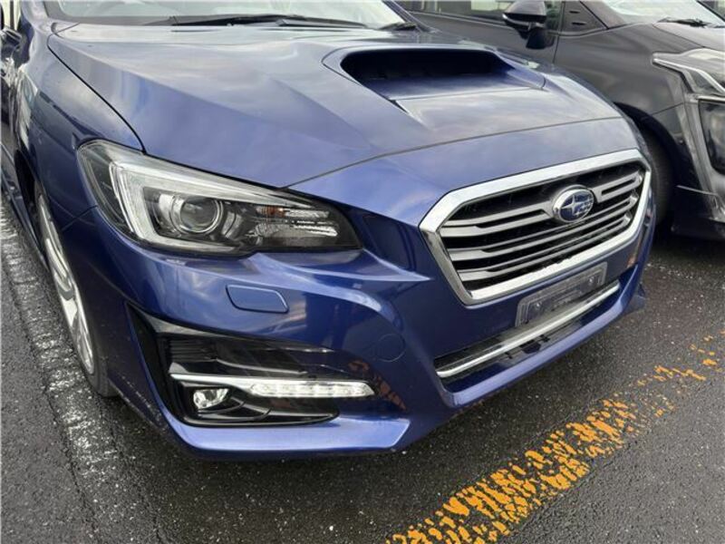 LEVORG