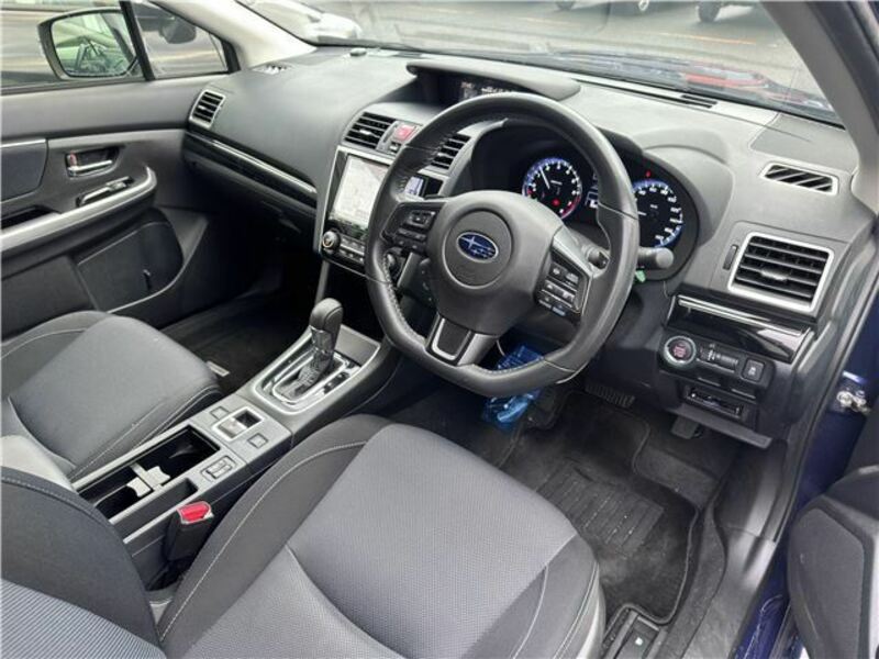 LEVORG