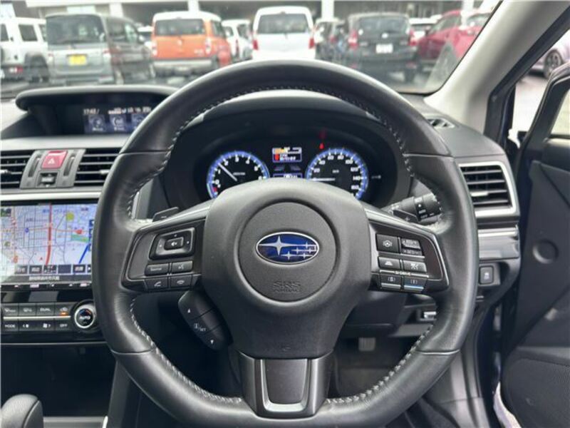LEVORG