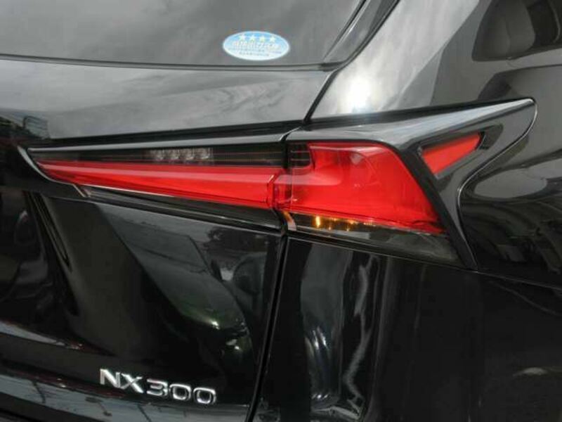 NX