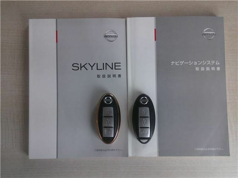 SKYLINE