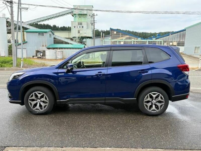 FORESTER