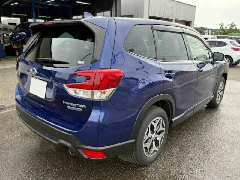 FORESTER