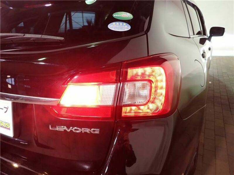 LEVORG