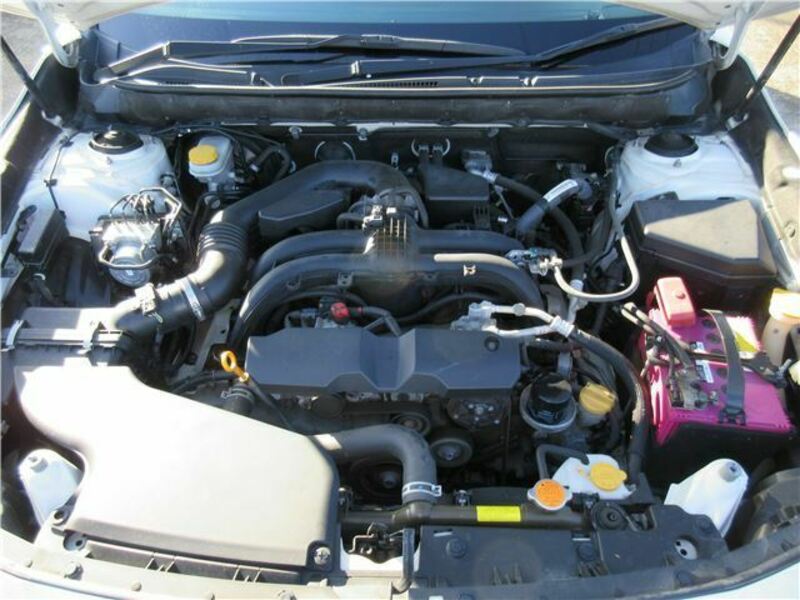 LEGACY B4