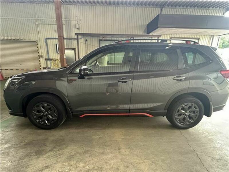 FORESTER