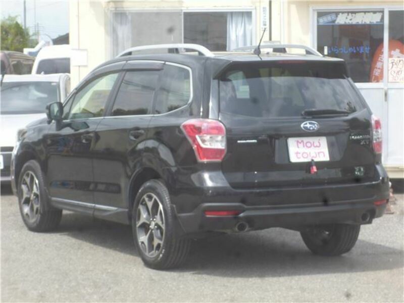 FORESTER