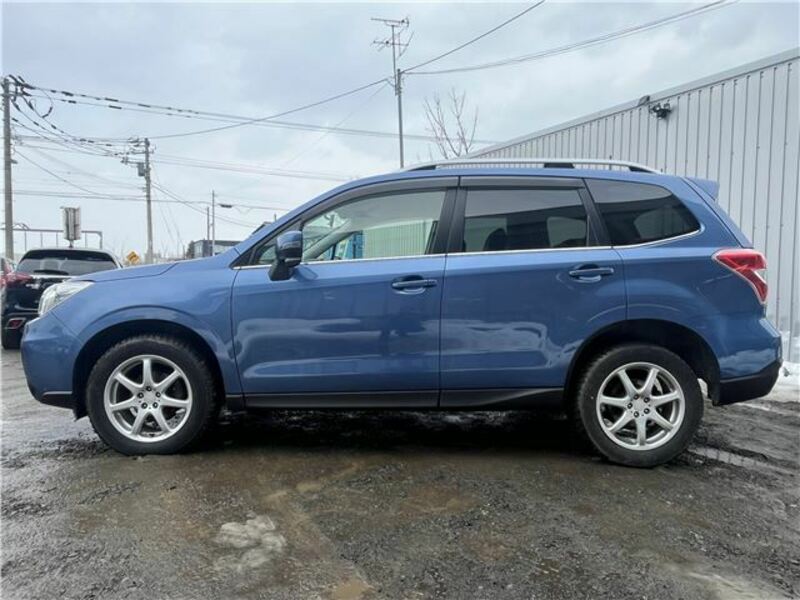 FORESTER