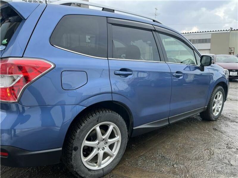 FORESTER
