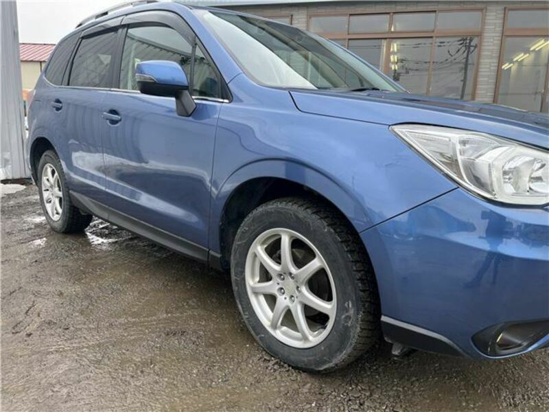 FORESTER