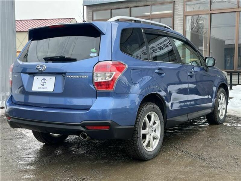 FORESTER
