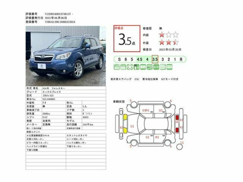 FORESTER