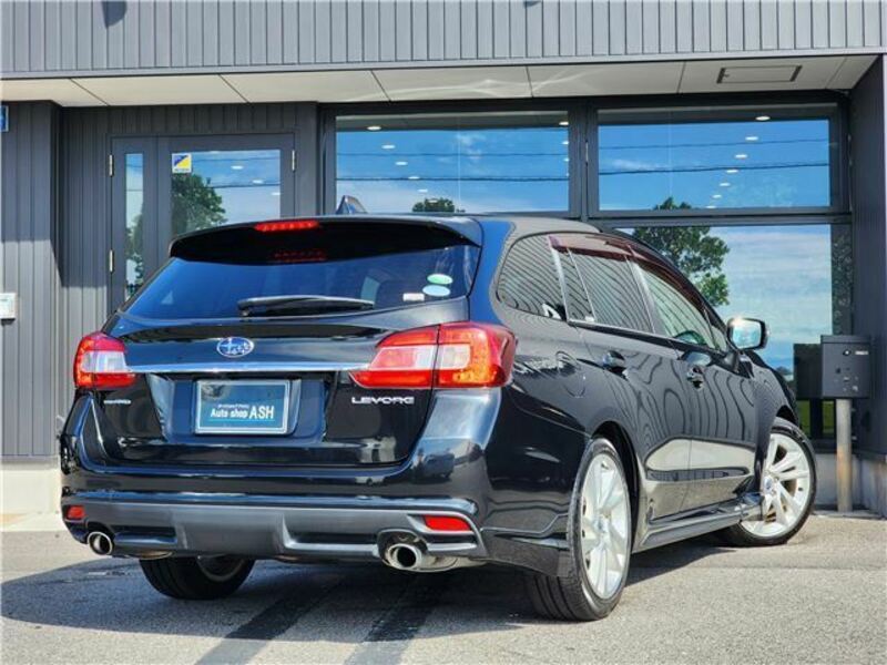 LEVORG
