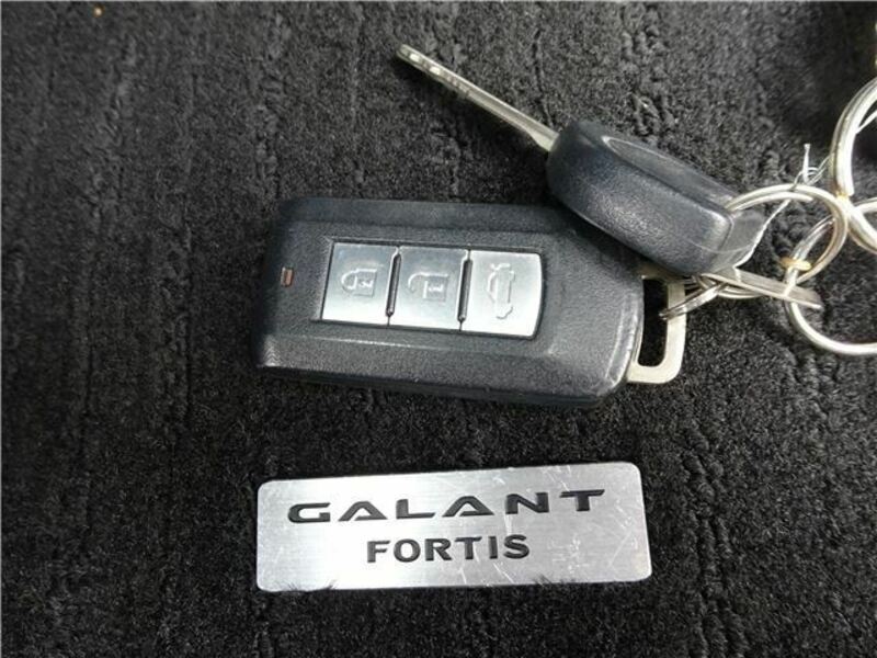 GALANT FORTIS