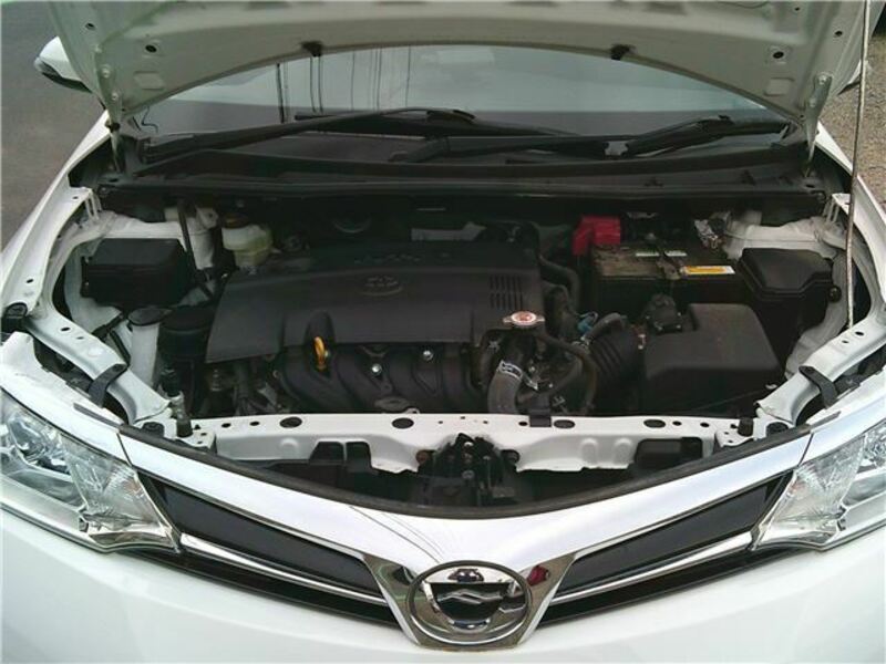 COROLLA FIELDER