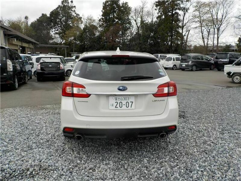 LEVORG